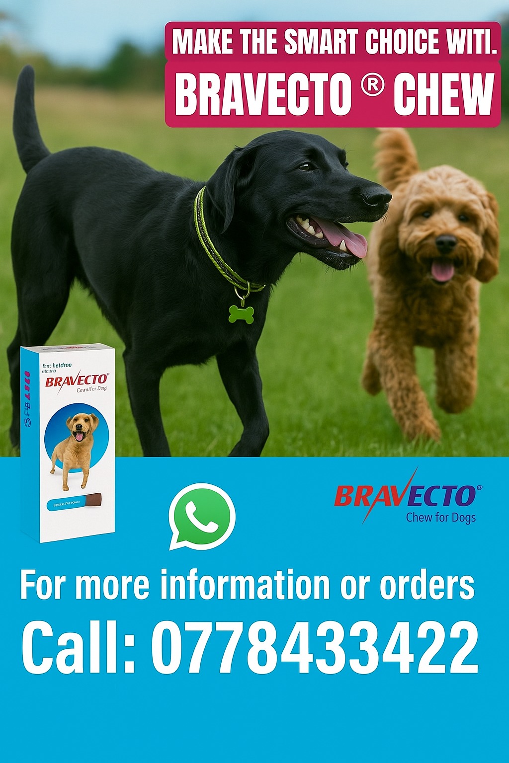 Bravecto Promo - Contact via WhatsApp